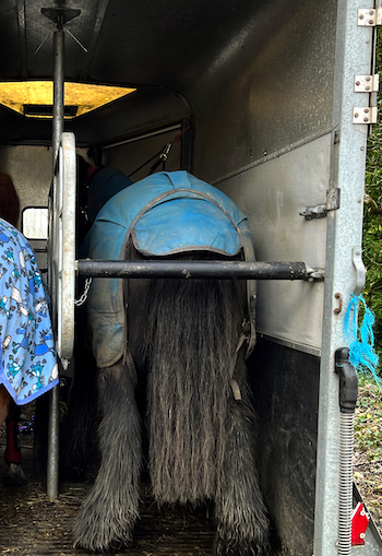 High-quality horse trailers in High Wycombe.