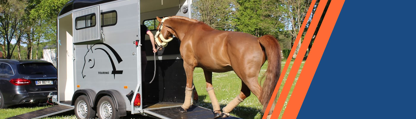 Cheval Liberté Touring One Single Horse Trailer